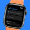 Web Browser for Apple Watch