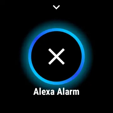 Alexa App for Wear OS