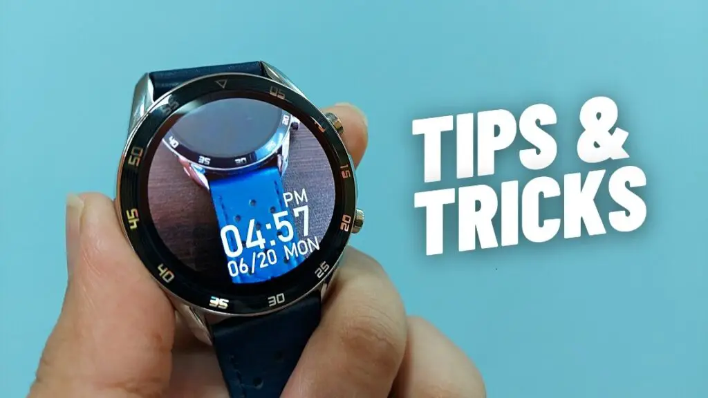 Boat Watch Primia Tips and Tricks