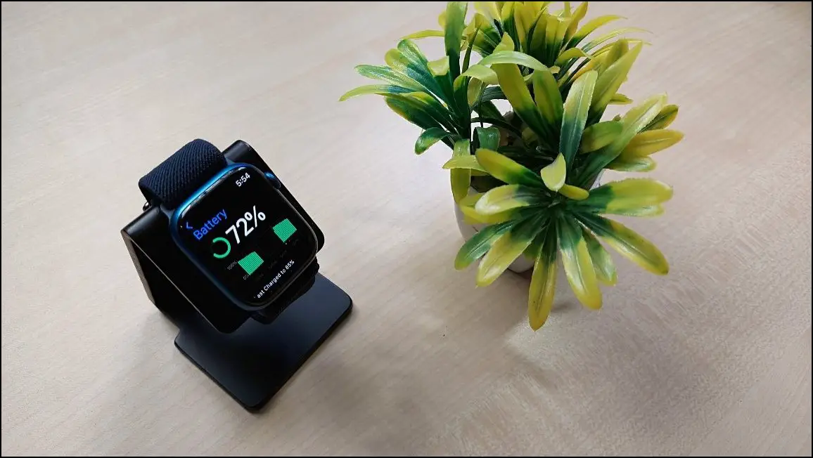 Apple Watch Battery Screen