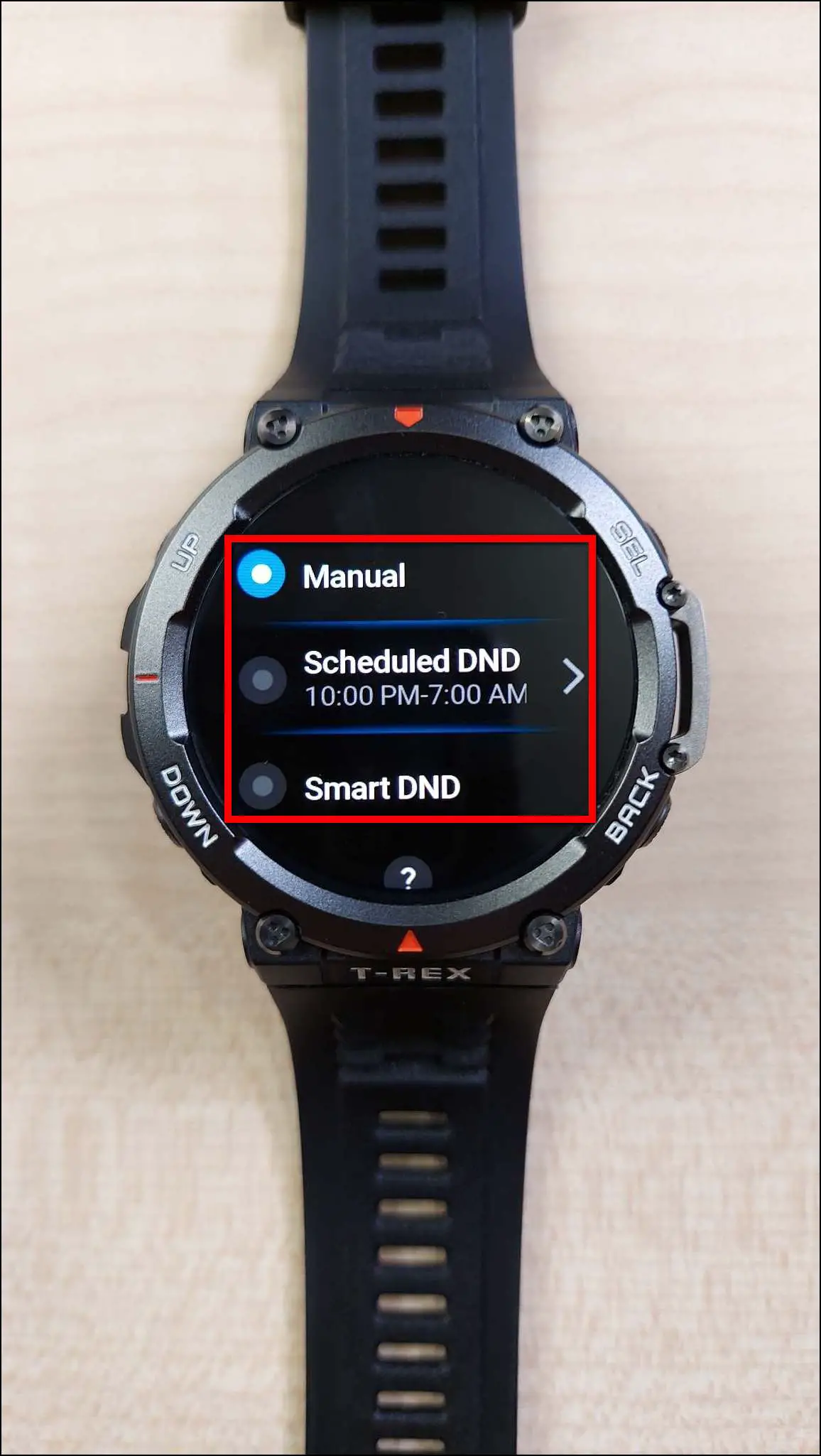 Enable DND on Amazfit T-Rex 2