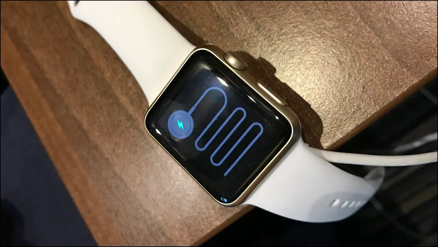 Apple Watch Snake Error